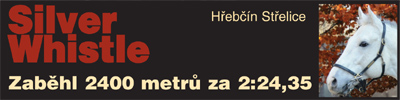 sw_small