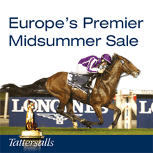 July-2013-sale-home-fitmin