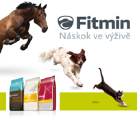 banner fitmin