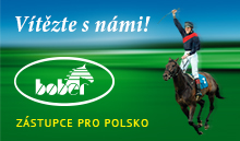 bober pl