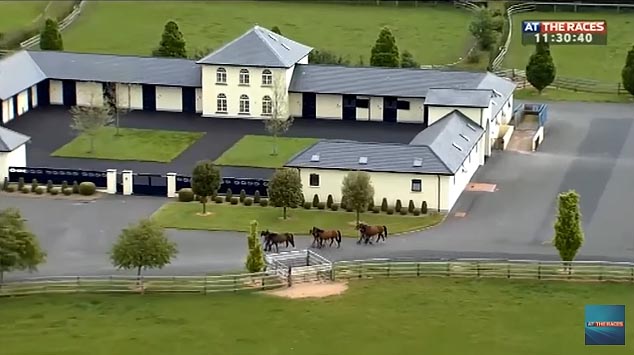 coolmore3