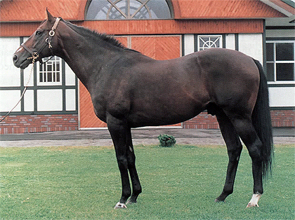 Dancing Brave3