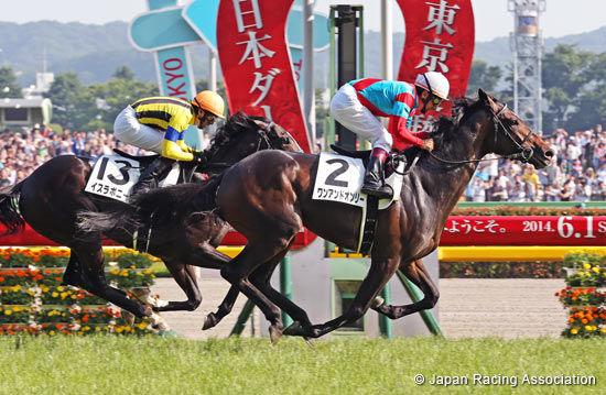 japan derby 2014
