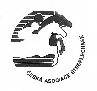 logo casch2