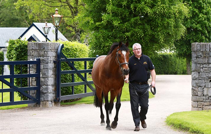 coolmore