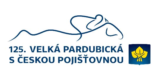 vp 2015 logo