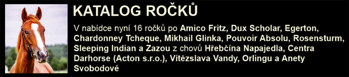 banner katalogrocku21