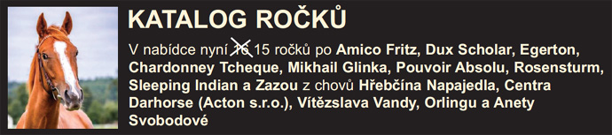 banner katalogrocku21 b