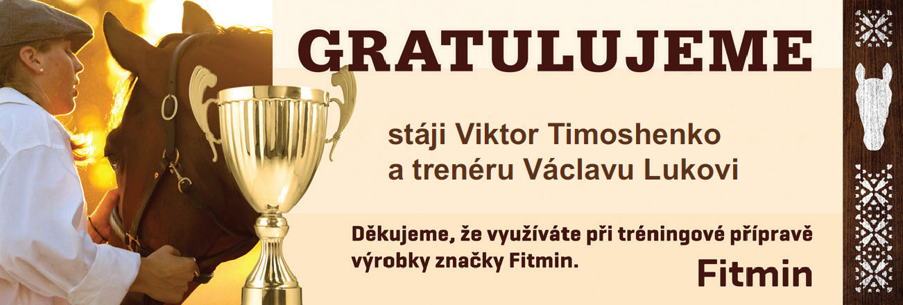 gratulace timoshenko