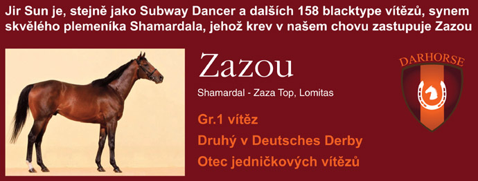 banner Zazou jirsun