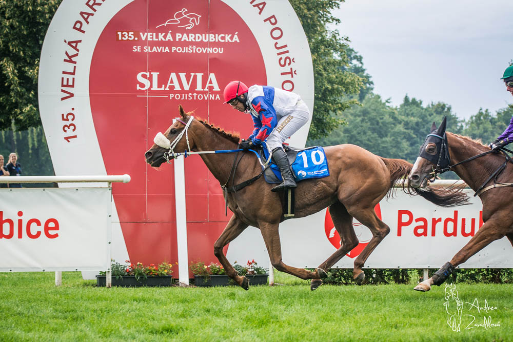 3 kvalda 2025 cil