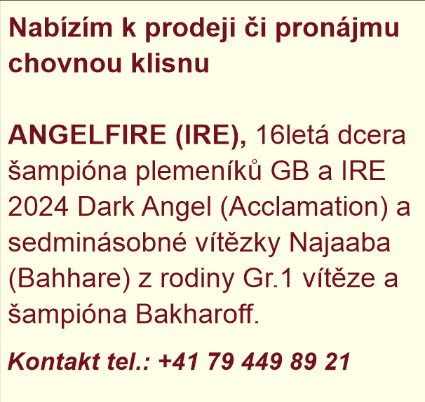 Angelfire