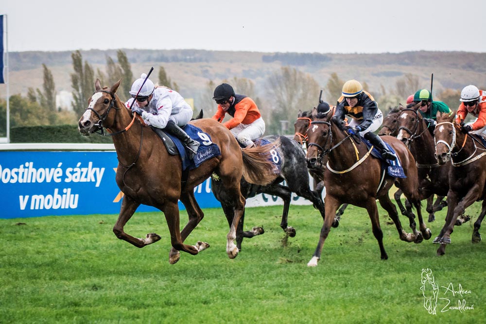 Cena prezidenta 2025