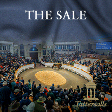 Tatts UK 2025 December Mares Sale Fitmin and Turf 220px by 220px