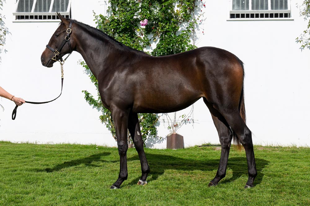 lot 573 Timetest