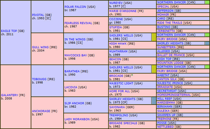pedigree gasparini2