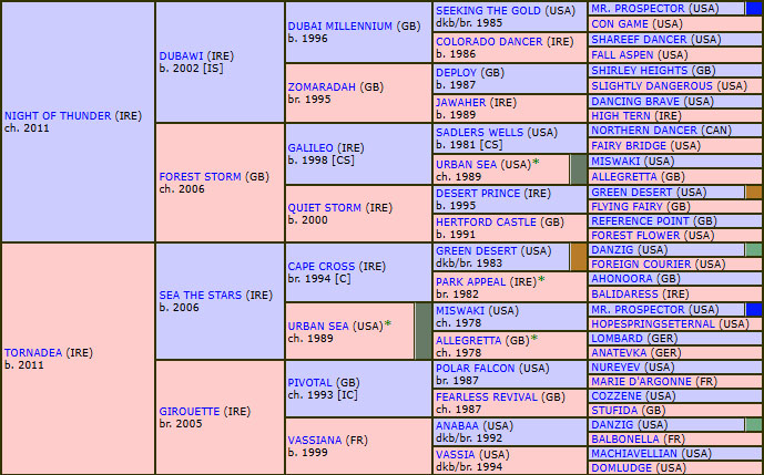 pedigree nighttornado2