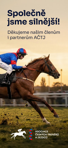 ACTJ CZ banner spolecnesilnejsi 220px