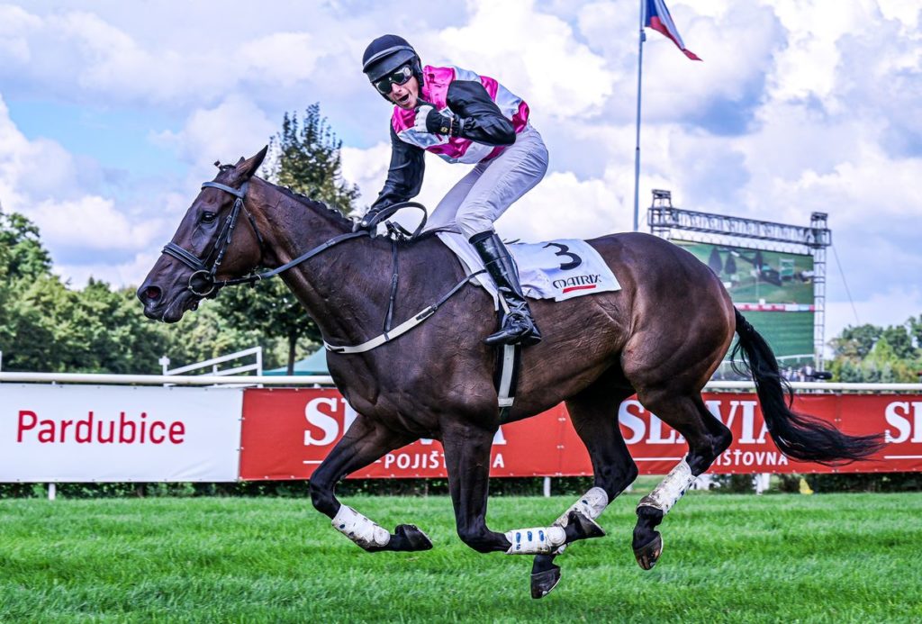 Hola Que Tal foto Hana Vytopilova 1024x693