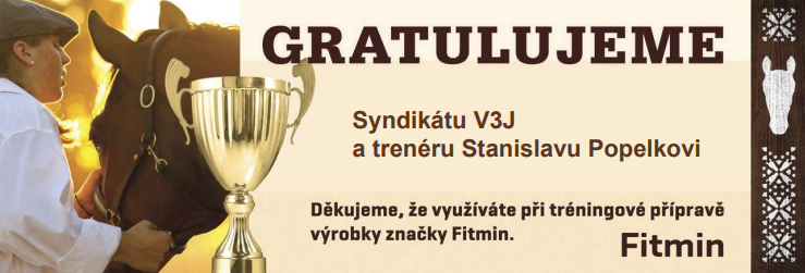 gratulace popelka v3j